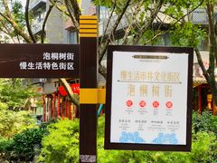 -泡桐树街