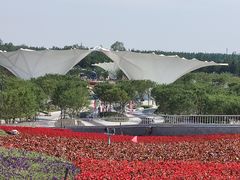 -东平国家森林公园