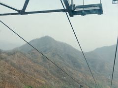 -栾川竹海野生动物园