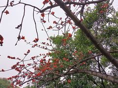 -晓港公园