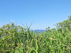 -花亭湖风景名胜区