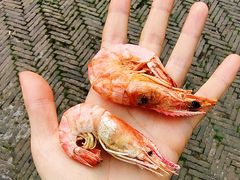 -锦溪古镇