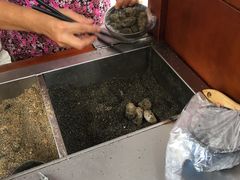 -叶氏麻糍(鼓浪屿店)