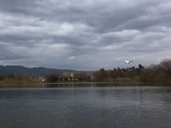 -大理洱源西湖景区