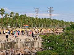 -宝安西湾红树林湿地公园