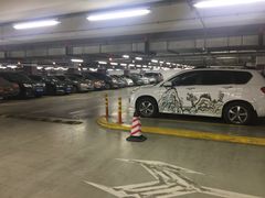 -上海浦东国际机场T1航站楼-P1停车场