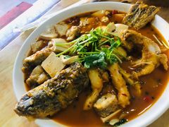 -煲来饱去冷水鱼