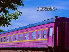 -西京湾花海