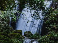 -瓦屋山景区