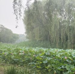 -爱儿美儿童摄影(奥森公园店)