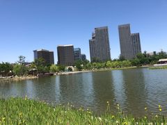 -西海子公园