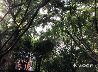 渝高公园——攻略：隐藏在市区内的静谧空间