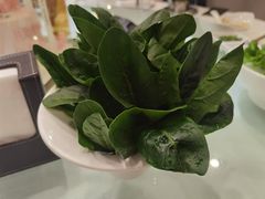 -应时肥牛火锅居(联合路店)