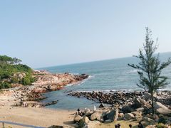 -广东惠东海龟国家级自然保护区