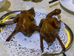 -石岐乳鸽村(南海第三分店)