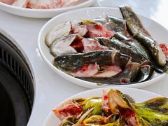 -丹水桥地锅鱼·翘嘴鲌·地方特色全鱼宴(丹江口大坝店)