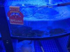 -七欣天香辣蟹火锅(闵行浦江欢乐颂店)