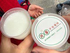 -洪馨椰子