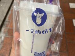 -一只酸奶牛(八一路店)