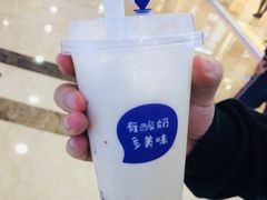 -一只酸奶牛(百联南岸上海城店)