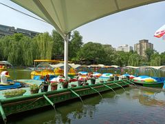 -莲湖公园