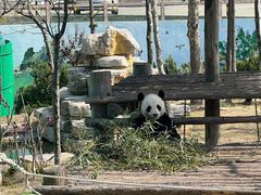 -西霞口神雕山野生动物世界