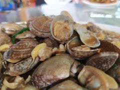 姜葱炒花甲-明记海鲜大排档(巽寮湾店)