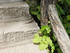 -秦岭终南山世界地质公园翠华山景区