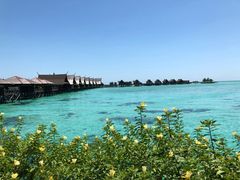 -卡帕莱度假村(西巴丹岛)