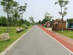 -上海长兴岛郊野公园