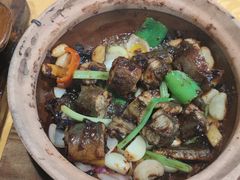 -天宝食坊·啫啫煲大排档(西华路店)