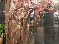 -大树头·花园餐厅(市桥店)