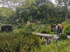 -东莞植物园