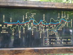 android_upload_pic-望天鹅景区