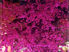 -巢爷老味(东方红店)