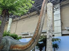 -国家自然博物馆