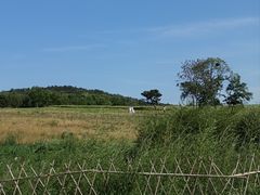 -西海岸生态观光园