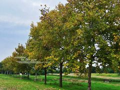 -汉长安城未央宫国家考古遗址公园