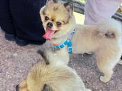 -崀山风景名胜区