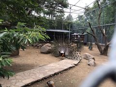 -西安秦岭野生动物园