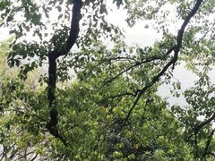 -新安江山水画廊风景区