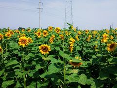 -扁都口生态休闲旅游区
