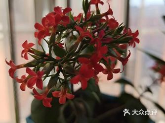 一起去感受春天的气息。下面一组春天文艺范说说送给大家