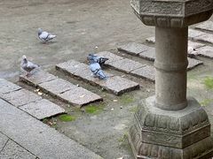 -无锡梅园公园