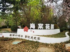 -海棠花溪(元大都城垣遗址公园)