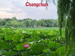 -长春市南湖公园