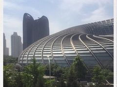 -凤凰中心