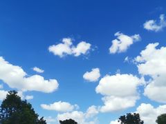 -小义乌砂锅拉面(海事共享区店)