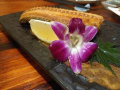 -渔日本料理铁板烧(新天地假日广场店)