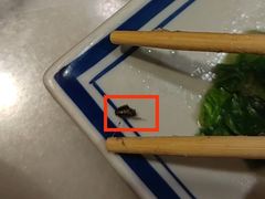 -京城小江南·北京烤鸭·江南土菜·白鱼(中关村店)